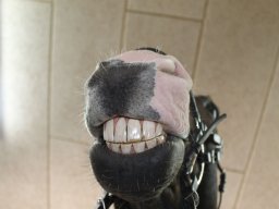 img_3648_web